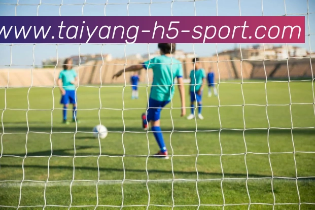 App Interface Preview