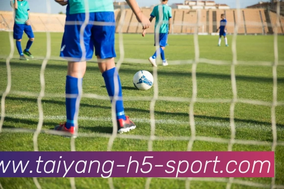 太阳城APP 封面图